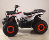 Mingbao Hunter 125 ATV